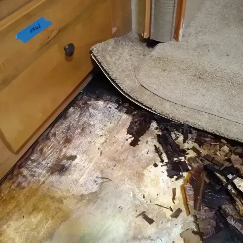 Wood Floor Water Damage in Elizabeth, CO